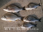 釣果