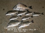 釣果