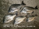 釣果