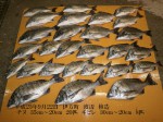 釣果