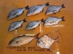 釣果