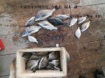 釣果