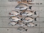 釣果