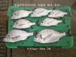 釣果