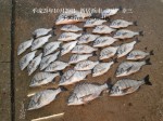 釣果