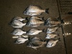 釣果