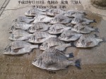 釣果