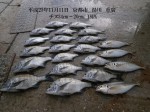 釣果