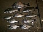 釣果