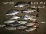 釣果