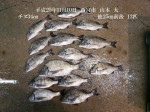 釣果