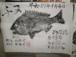 釣果