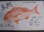 釣果