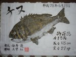 釣果