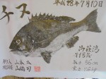 釣果