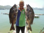 釣果