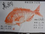 釣果