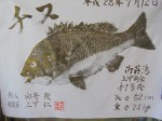 釣果