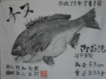 釣果