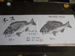 釣果