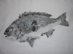 釣果