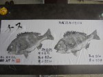 釣果