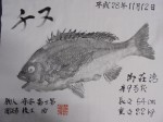 釣果
