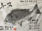 釣果