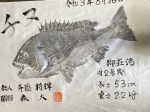 釣果