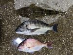 釣果